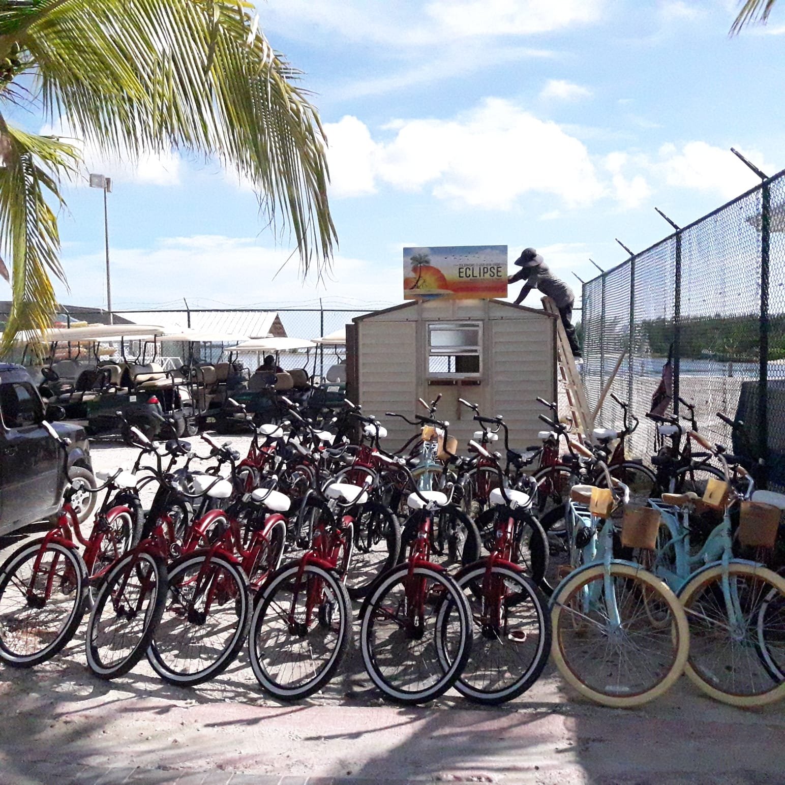 Bike Rentals